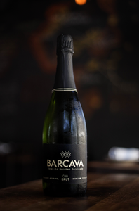 The Barcelona Wine Bar Experience
